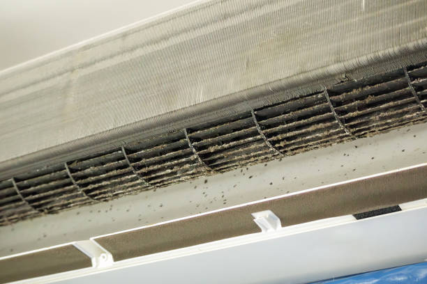 Best Best Air Duct Cleaning Company  in Milan, OH